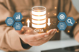 Offshore Data Management Services For Businesses: A Complete Guide To Efficiency And Cost Savings