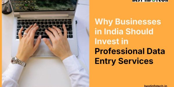 Why Businesses in India Should Invest in Professional Data Entry Services